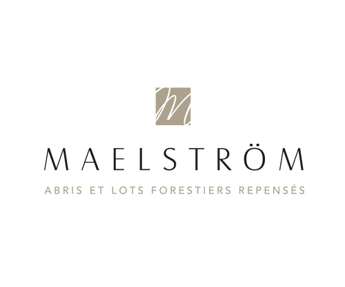 Logo officiel de Maelstrom Immobilier